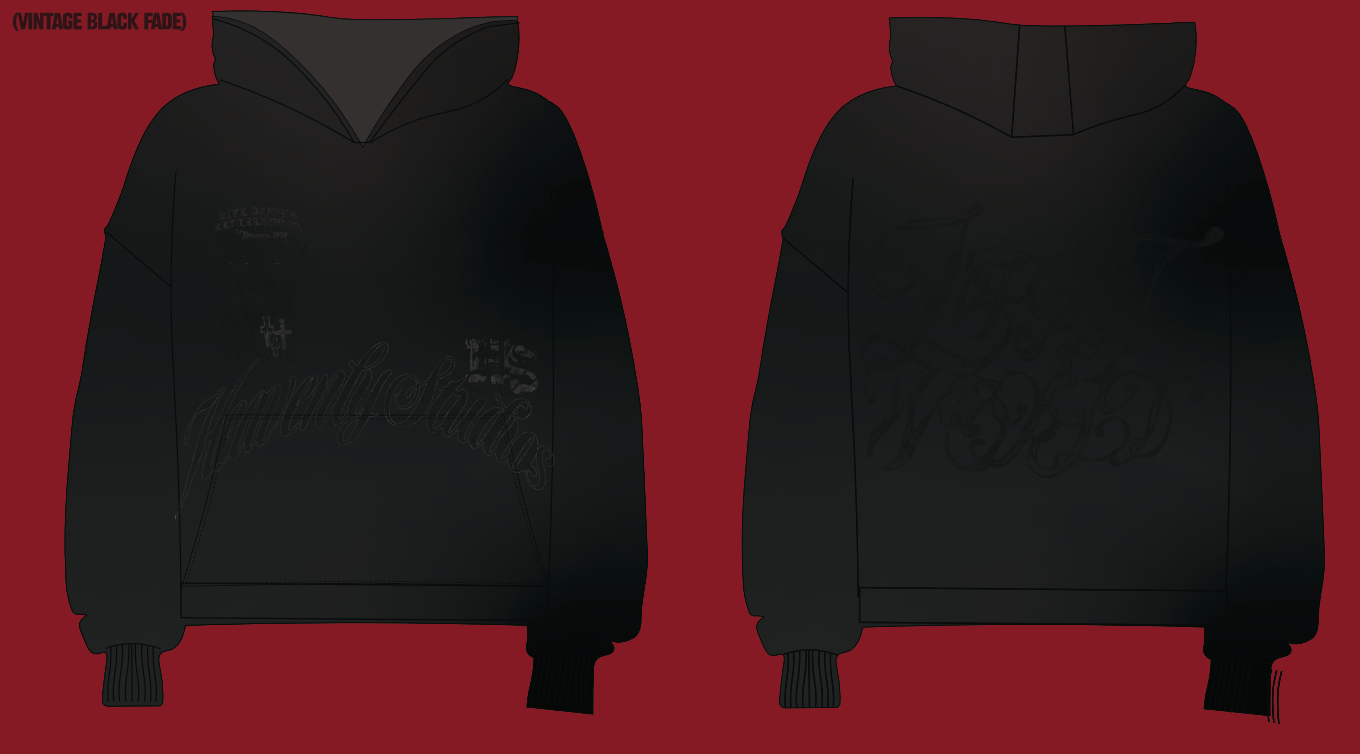 Light of the world Hoodie